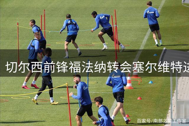 切尔西前锋福法纳转会塞尔维特进入关键阶段